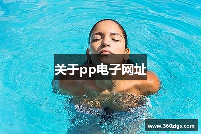 关于pp电子网址