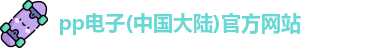 pp电子网址